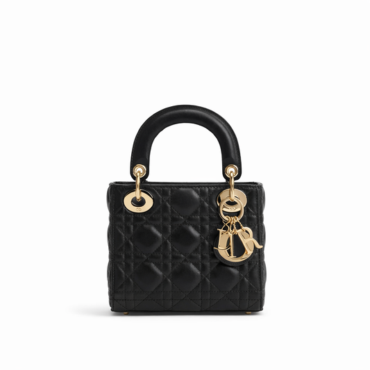 Mini Lady Dior Tasche